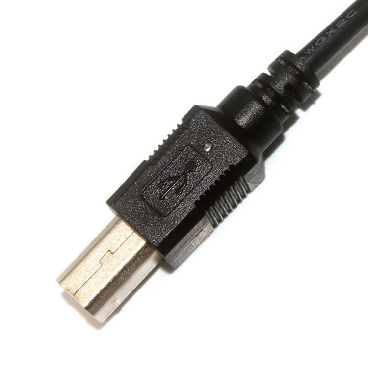 10 Pin 30 AWG 2.54mm Pitch Molex Cable Assembly 150mm Chiều dài Molex 22-55-2101