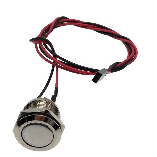 IP65 19.2 mm Panel Mount 12v SPST Momentary Push Button Switch with 2Pin Dupont and 50cm Cable